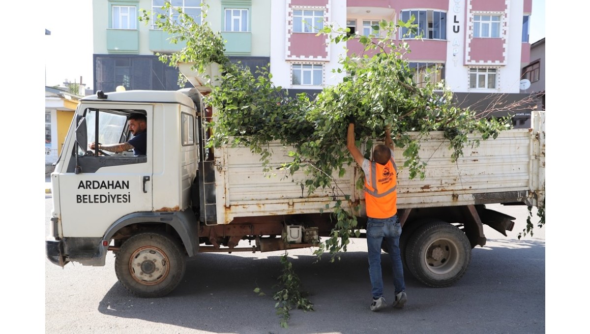 Ardahan Belediyesi'nden ağaç budama faaliyeti