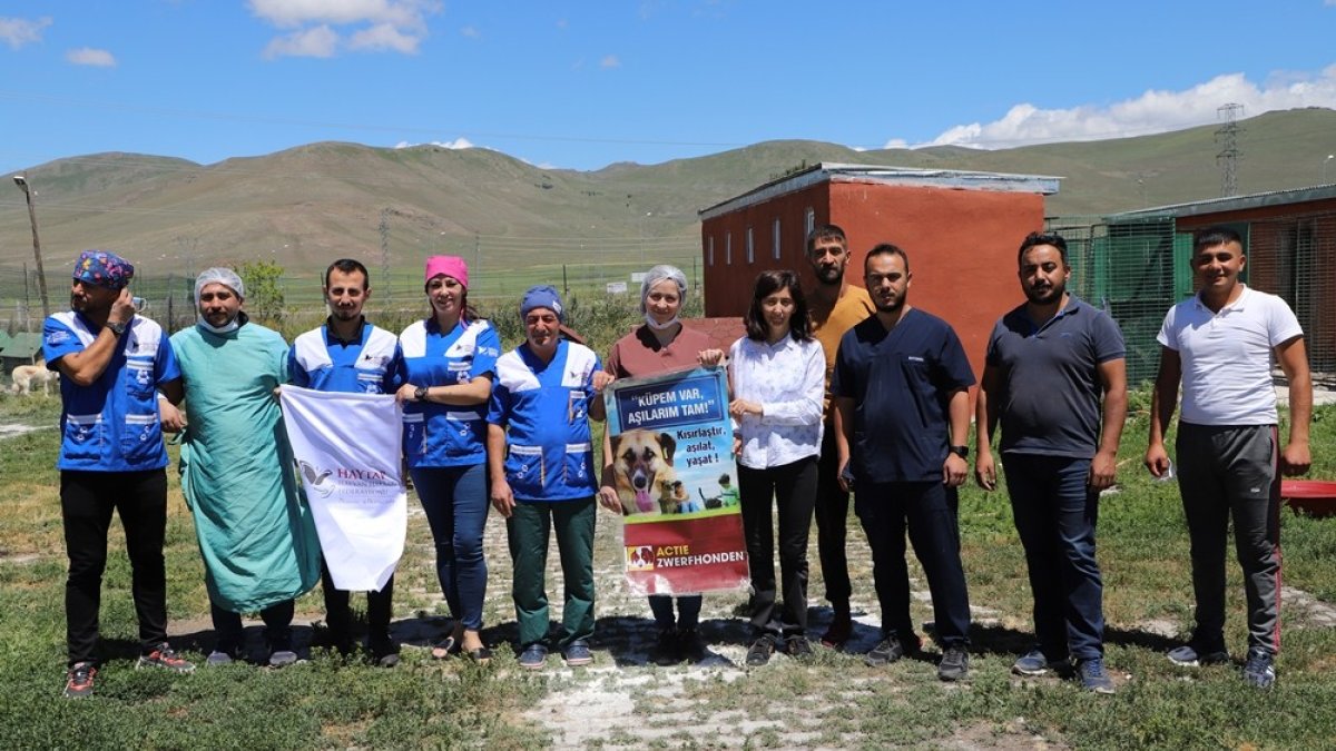 Ardahan Belediyesi ve Haytap'tan sokak hayvanlarına ortak çalışma