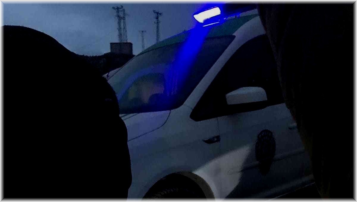 Ardahan Belediyesi Veteriner Müdürlüğü ekipleri sokak hayvanlarının imdadına yetişiyor