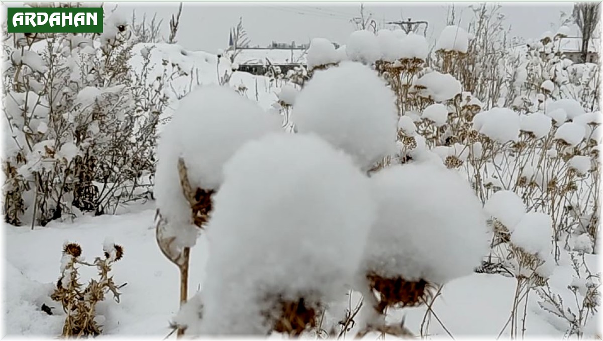 Ardahan beyaza büründü