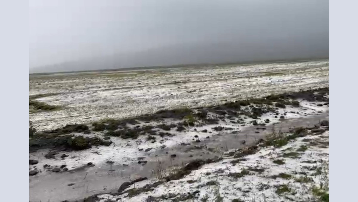 Ardahan beyaza büründü