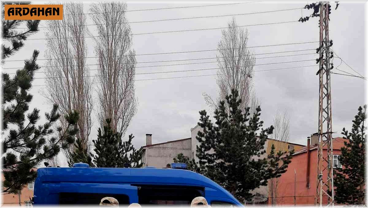 Ardahan'da 2 kaçak göçmen yakalandı