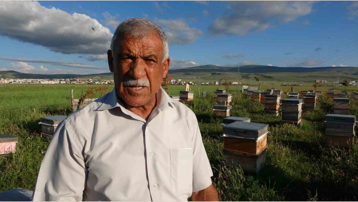 Ardahan'da 450 ton bal üretildi