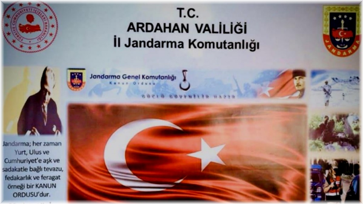 Ardahan'da arazide kendiliğinden yetişen 17 bin 686 kök Hint keneviri imha edildi