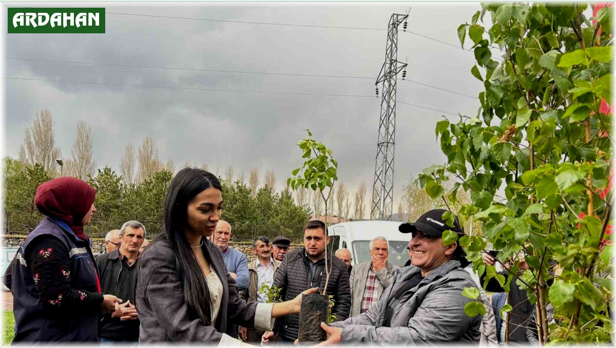 Ardahan'da arı yetiştiricilerine fidan verildi
