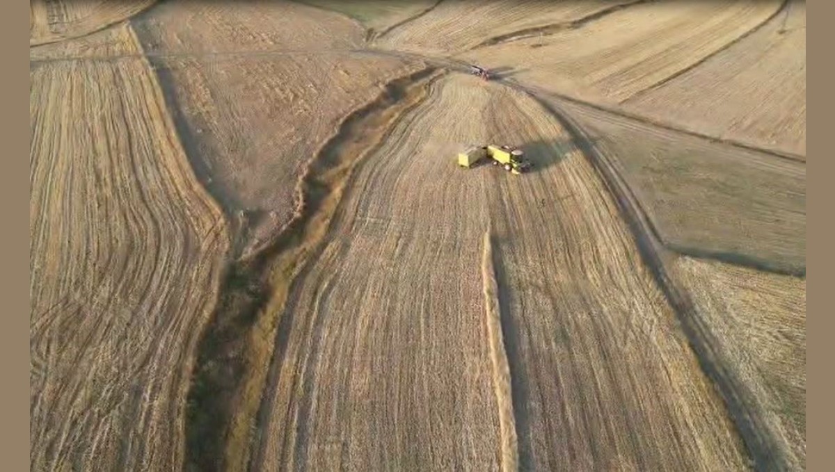 Ardahan'da arpa ve buğday hasadı sürüyor