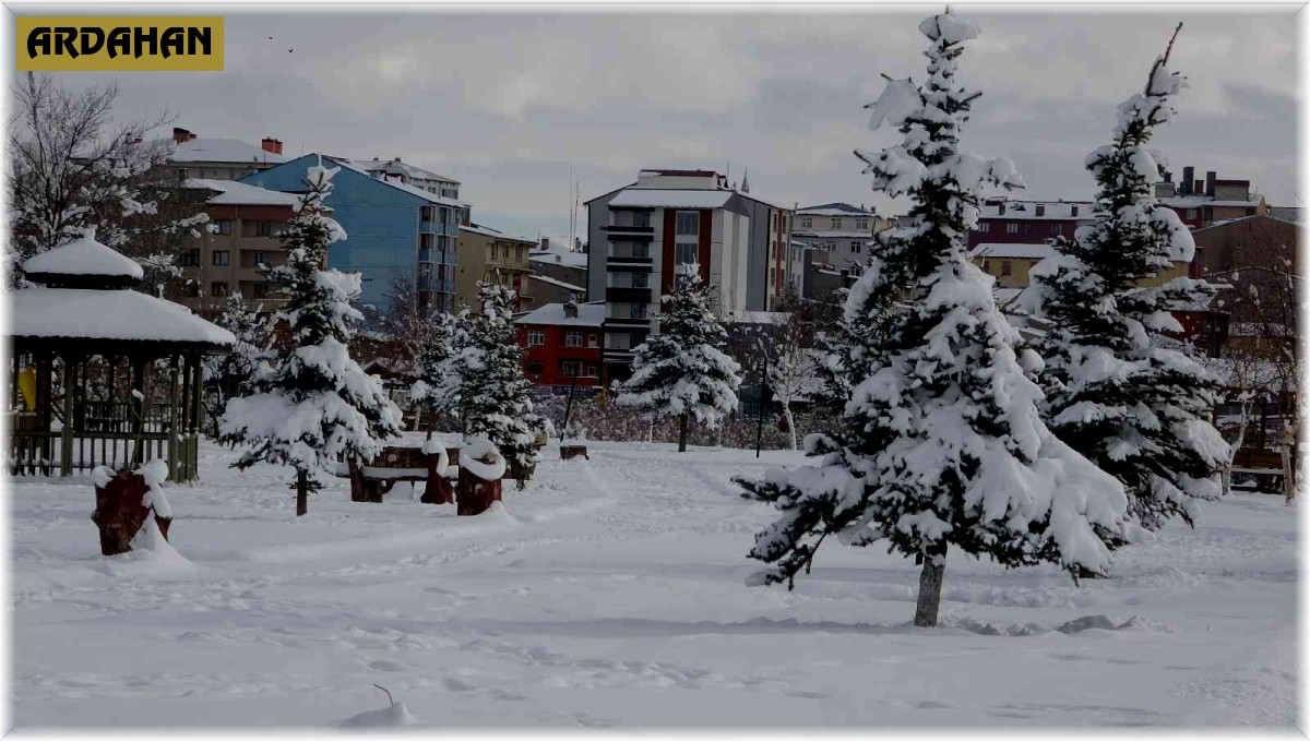 Ardahan'da beyaz güzellik