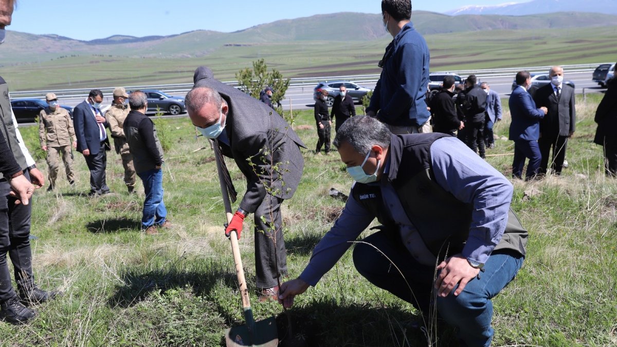 Ardahan'da binlerce ağaç toprakla buluştu