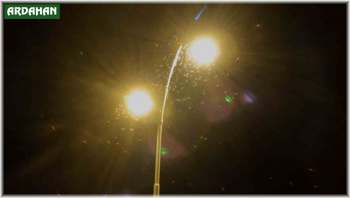 Ardahan'da 'bir günlükler'in 'ölüm uçuşu' sona erdi