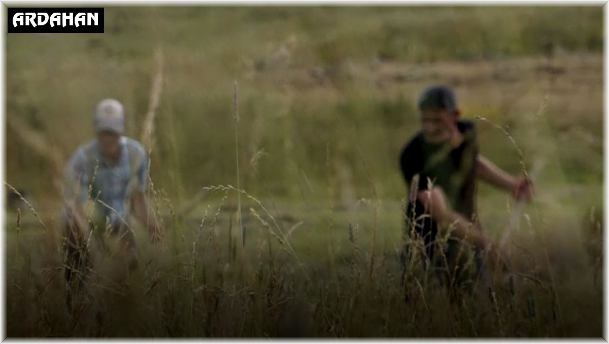 Ardahan'da çiftçiler tırpanla ot biçme geleneğini sürdürüyor