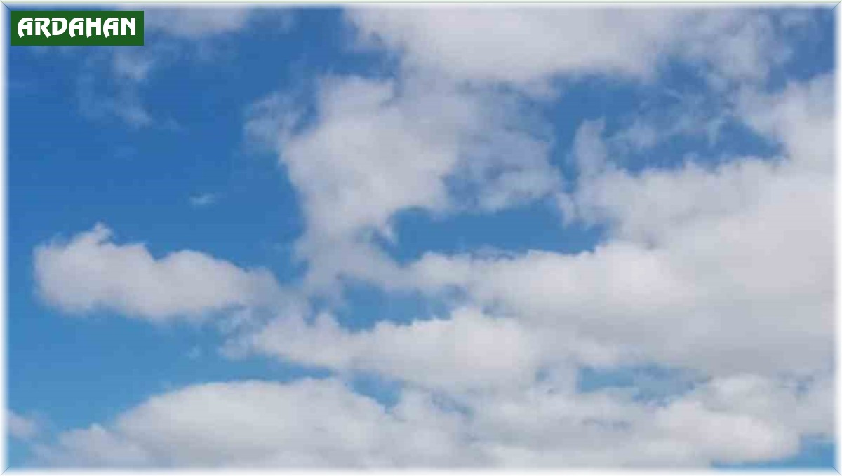 Ardahan'da çıkan anız yangını söndürüldü