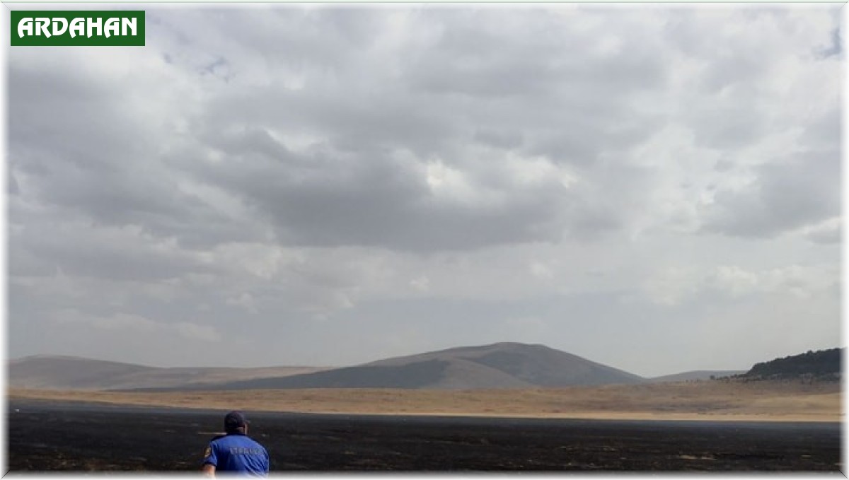 Ardahan'da çıkan anız yangını söndürüldü