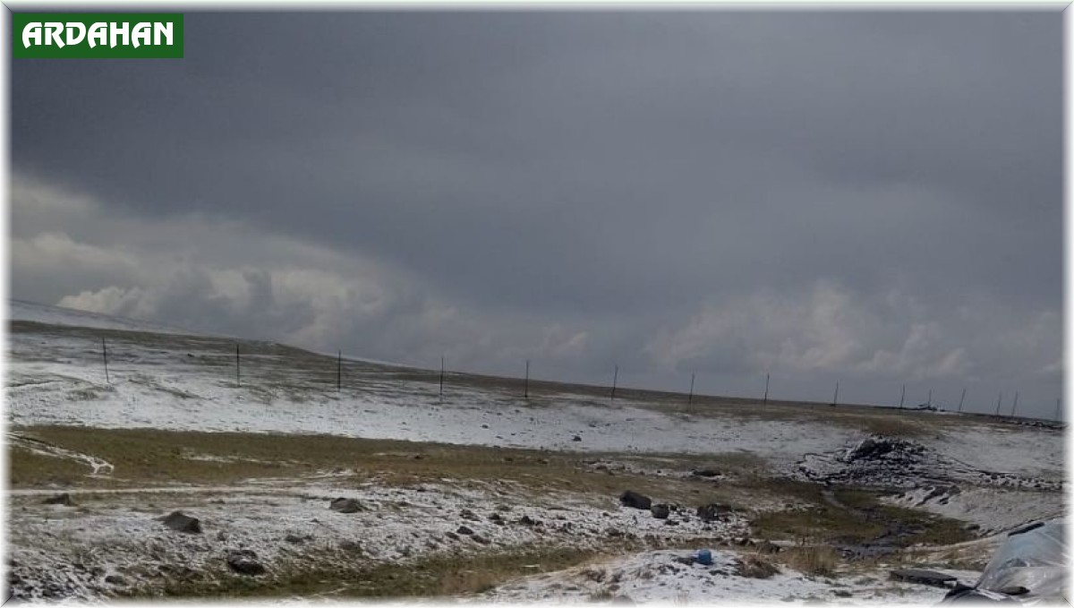 Ardahan'da dolu yağışı