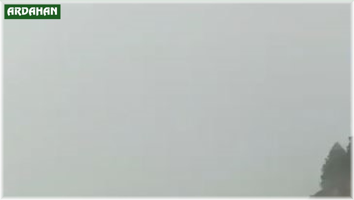 Ardahan'da dolu yağışı yolları beyaza bürüdü