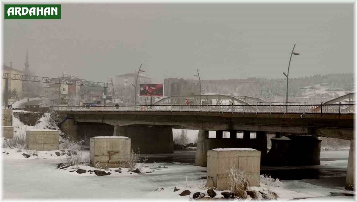 Ardahan'da dondurucu soğuk: Ağaçlar kırağı tuttu