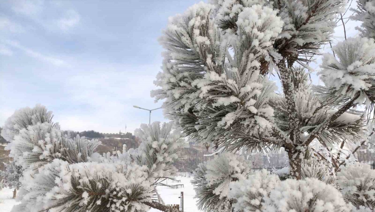 Ardahan'da dondurucu soğuklar etkili oldu
