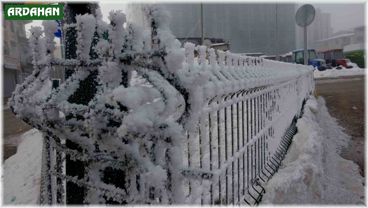 Ardahan'da dondurucu soğuklar hayatı durma noktasına getirdi