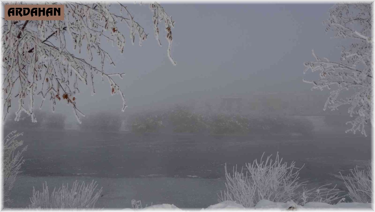 Ardahan'da dondurucu soğuklar hayatı olumsuz etkiliyor