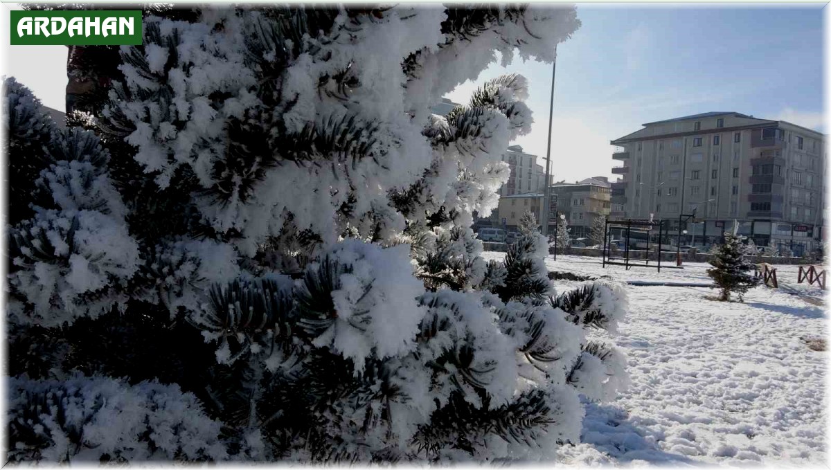 Ardahan'da dondurucu soğukları: Göle -29,8 derece
