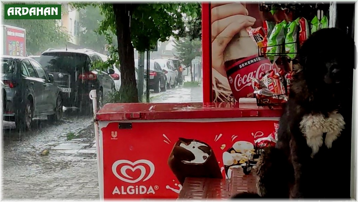 Ardahan'da etkili olan sağanak, hayatı olumsuz etkiliyor