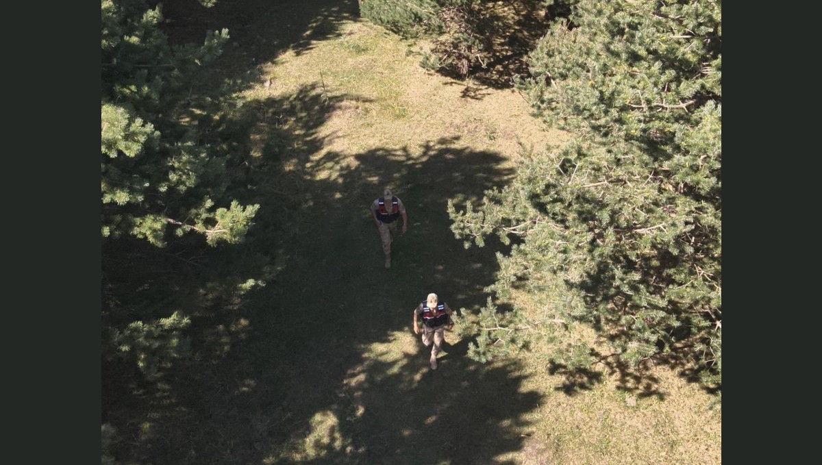 Ardahan'da jandarma ekipleri ormanlık alanlarda denetimlerini sıklaştırdı