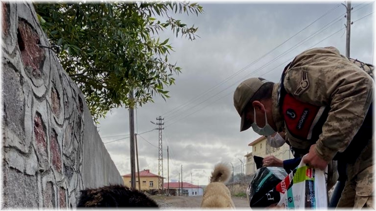 Ardahan'da jandarma hayvanları koruma gününü unutmadı