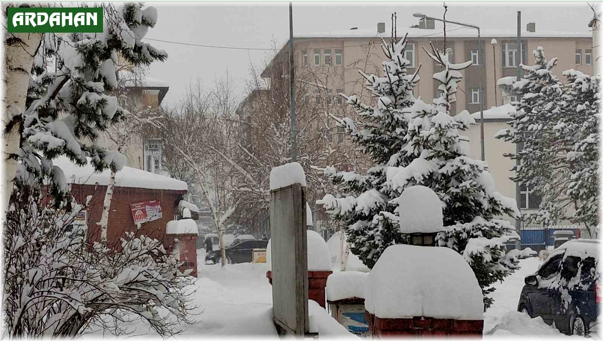 Ardahan'da kar kalınlığı 40 santimetreyi buldu, 207 köy yolu ulaşıma kapandı