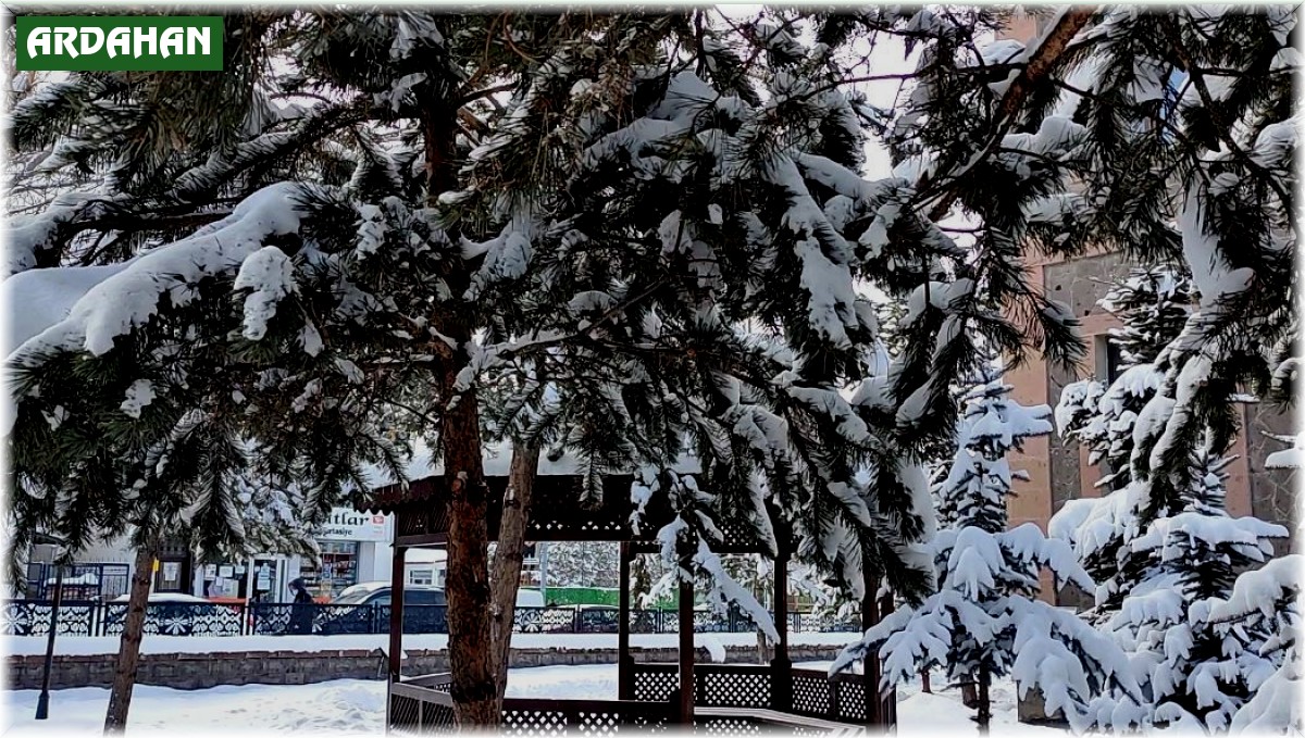 Ardahan'da kar, kartpostallık görüntüler oluşturdu