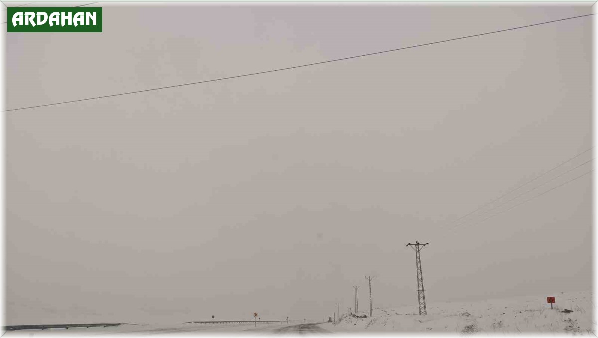 Ardahan'da kar ve tipi ulaşımı aksatıyor