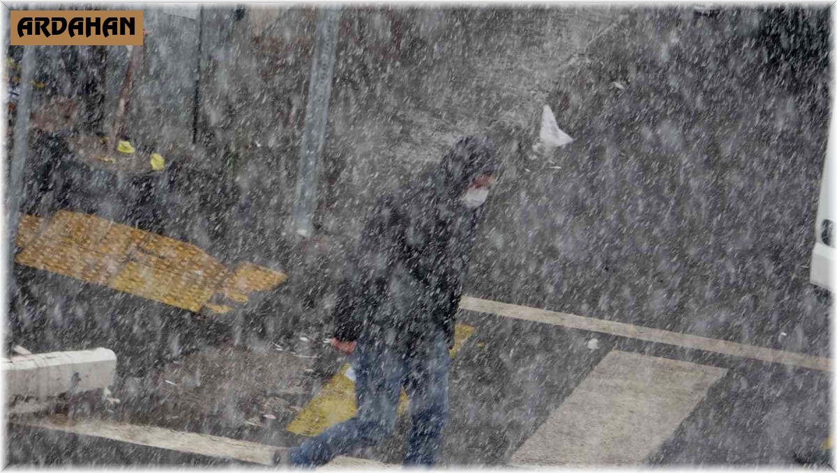 Ardahan'da kar yağışı
