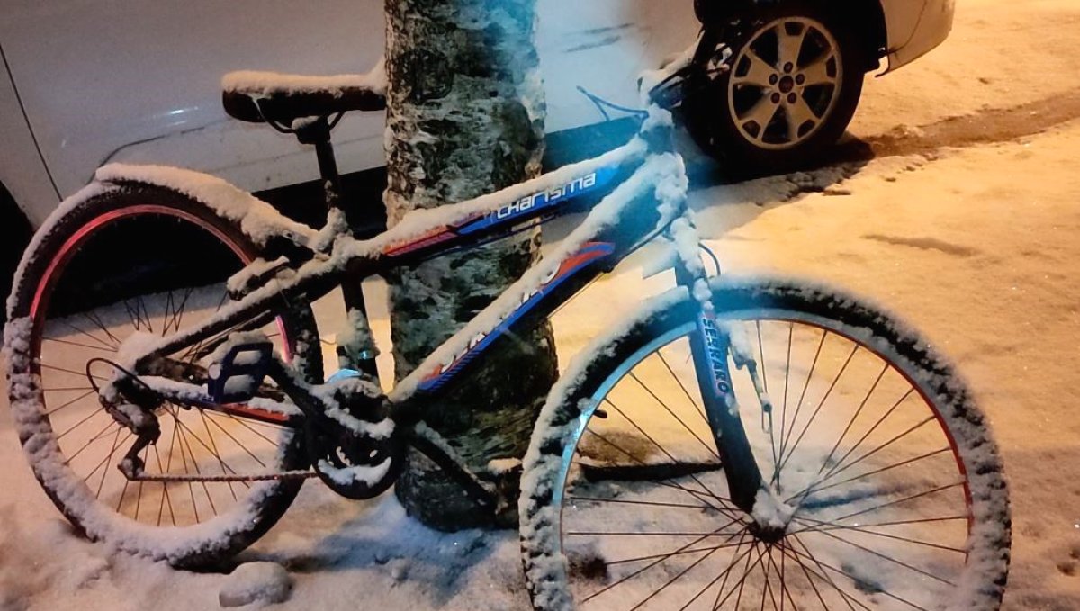 Ardahan'da kar yağışı etkili oldu