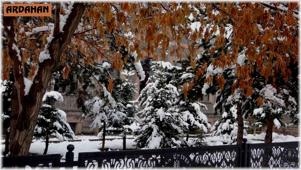 Ardahan'da kar yağışı sonrası kartpostallık görüntüler oluştu