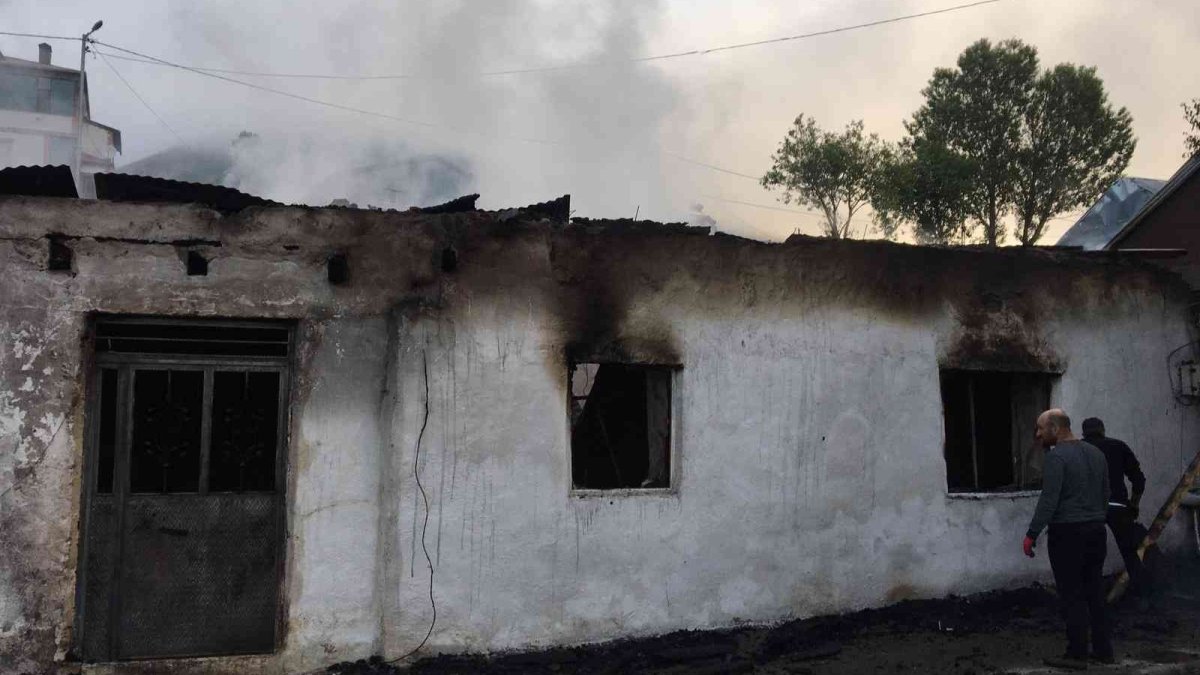 Ardahan'da korkutan yangın