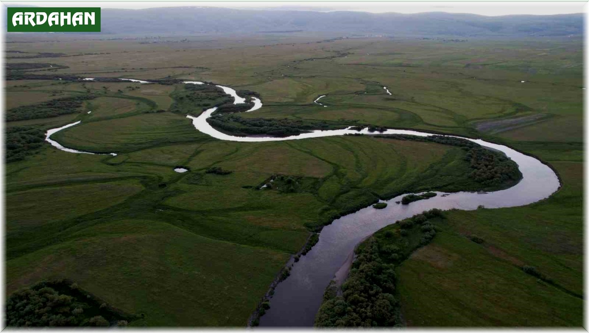 Ardahan'da menderesler havadan görüntülendi