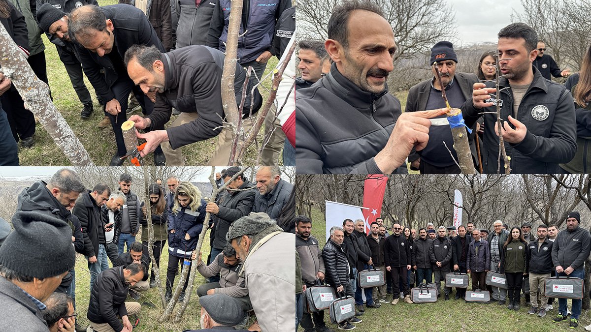 Ardahan'da meyve üretimini artırmak için üreticilere budama ve aşılama eğitimi veriliyor