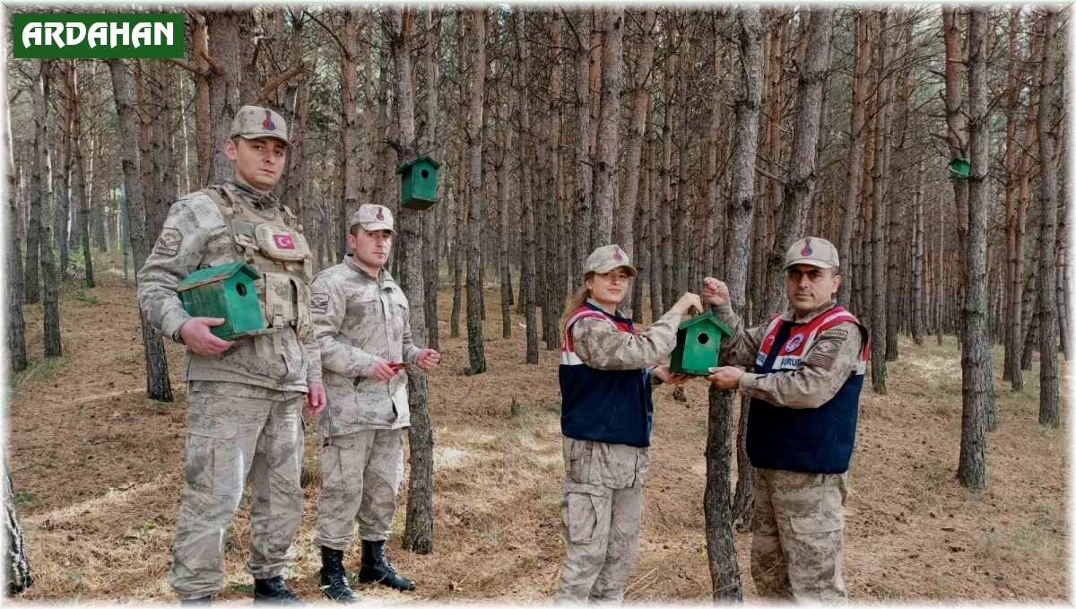 Ardahan'da ormana 20 adet kuş kafesi konuldu