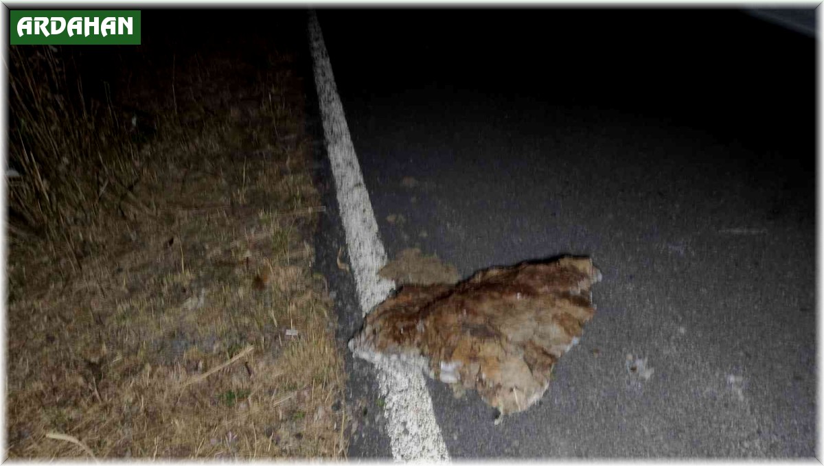 Ardahan'da peş peşe deprem: 4.2 ile sallandı, artçılar devam ediyor