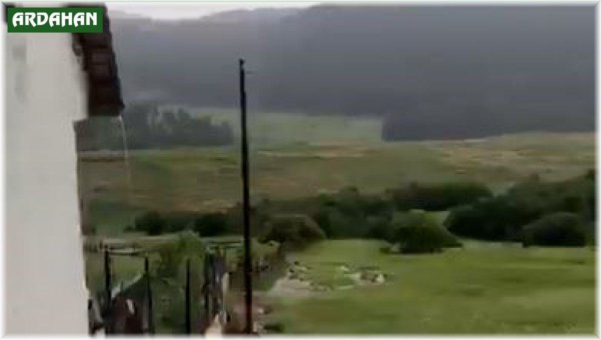 Ardahan'da sağanak sele neden oldu; Evleri su bastı, tarım arazileri zarar gördü