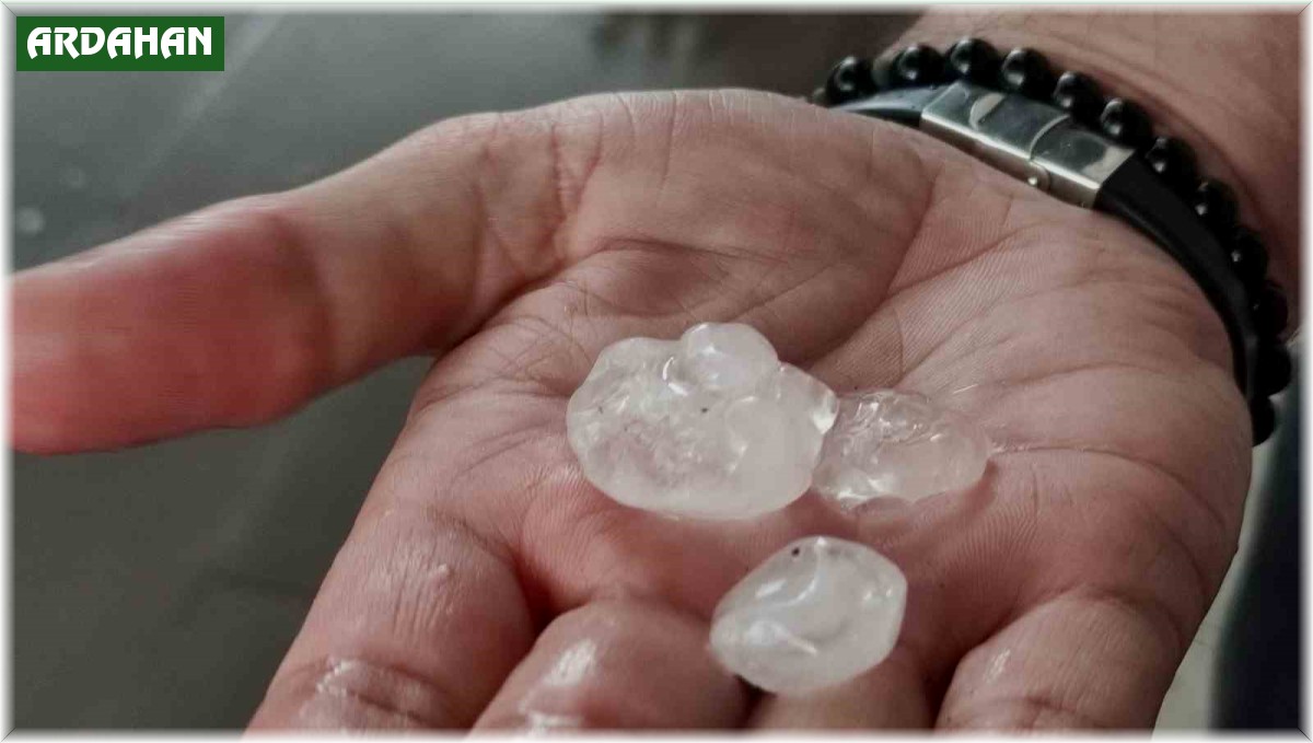 Ardahan'da sağanak ve dolu etkili oldu