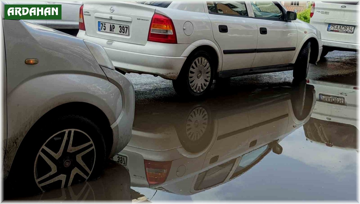 Ardahan'da sağanak ve dolu hayatı olumsuz etkiledi