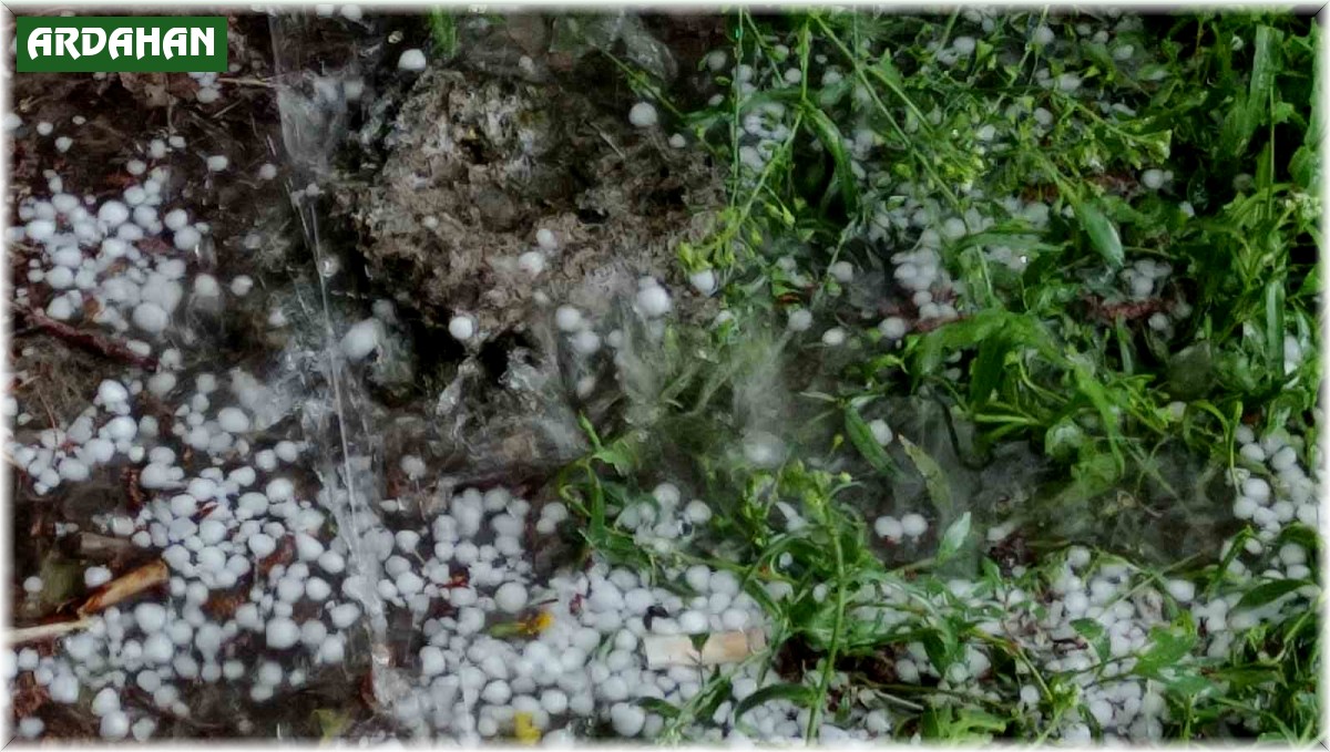 Ardahan'da sağanak ve dolu hayatı olumsuz etkiledi