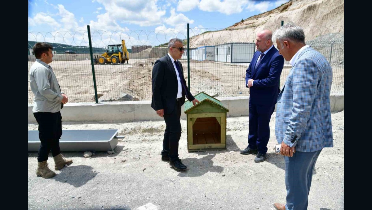 Ardahan'da sahipsiz hayvanlara yeni bir yuva