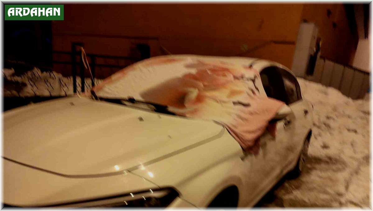 Ardahan'da Sibirya soğukları