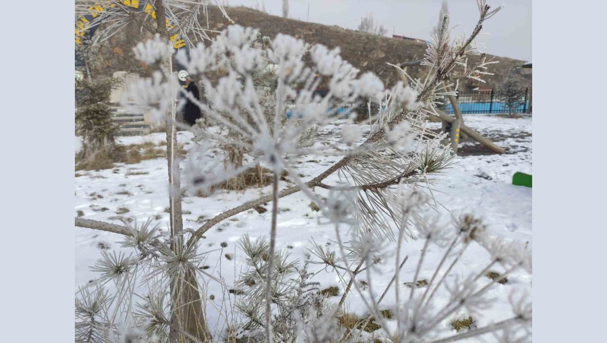 Ardahan'da Sibirya soğukları