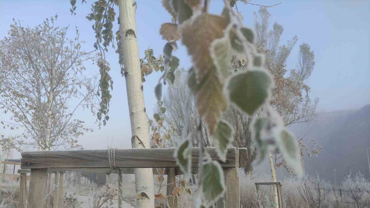 Ardahan'da Sibirya soğukları etkili oluyor