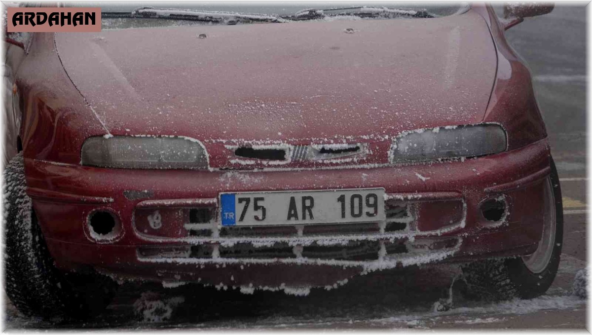 Ardahan'da Sibirya soğukları yaşamı olumsuz etkiliyor