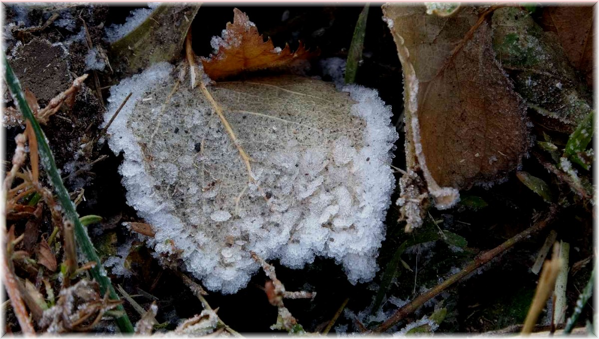 Ardahan'da sıcaklık eksi 9 dereceyi gördü