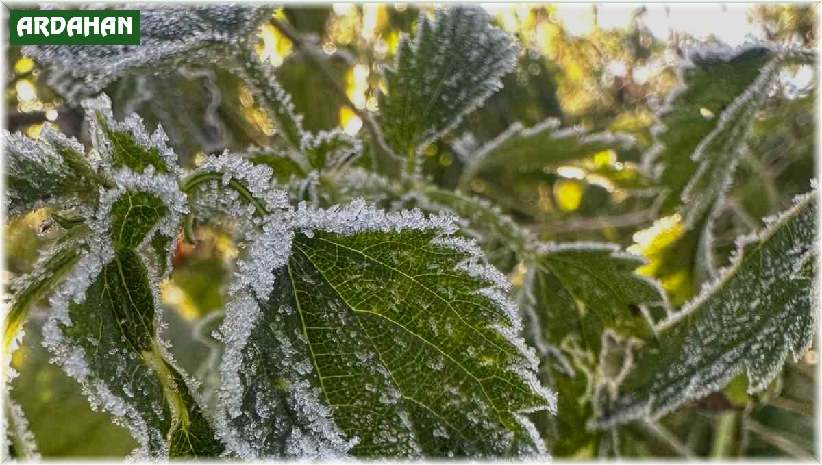 Ardahan'da sıcaklık sıfırın altına düştü