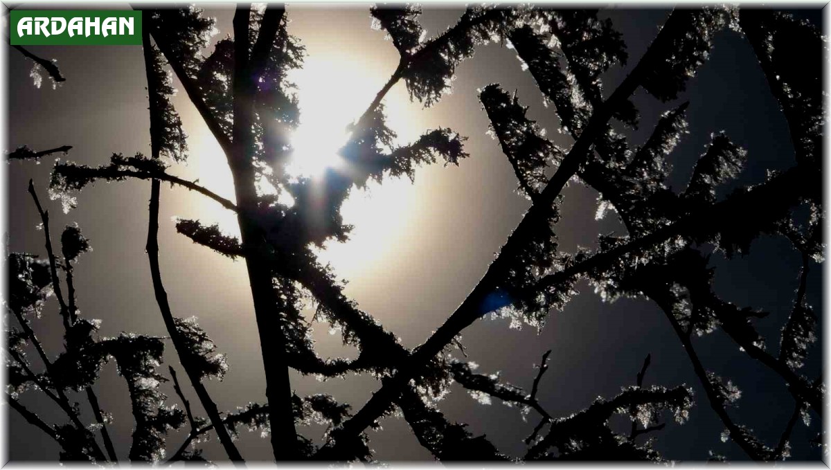 Ardahan'da soğuk hava: Damal ilçesi eksi 2,7 dereceyi gördü