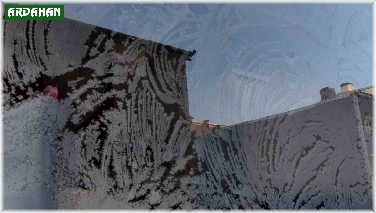 Ardahan'da soğuk hava etkili oluyor